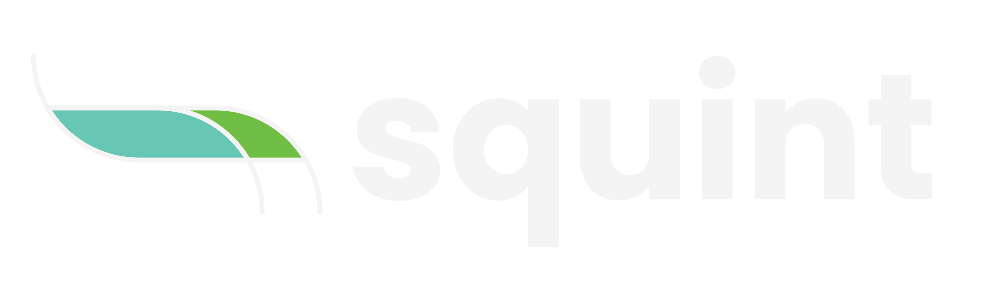 squint logo