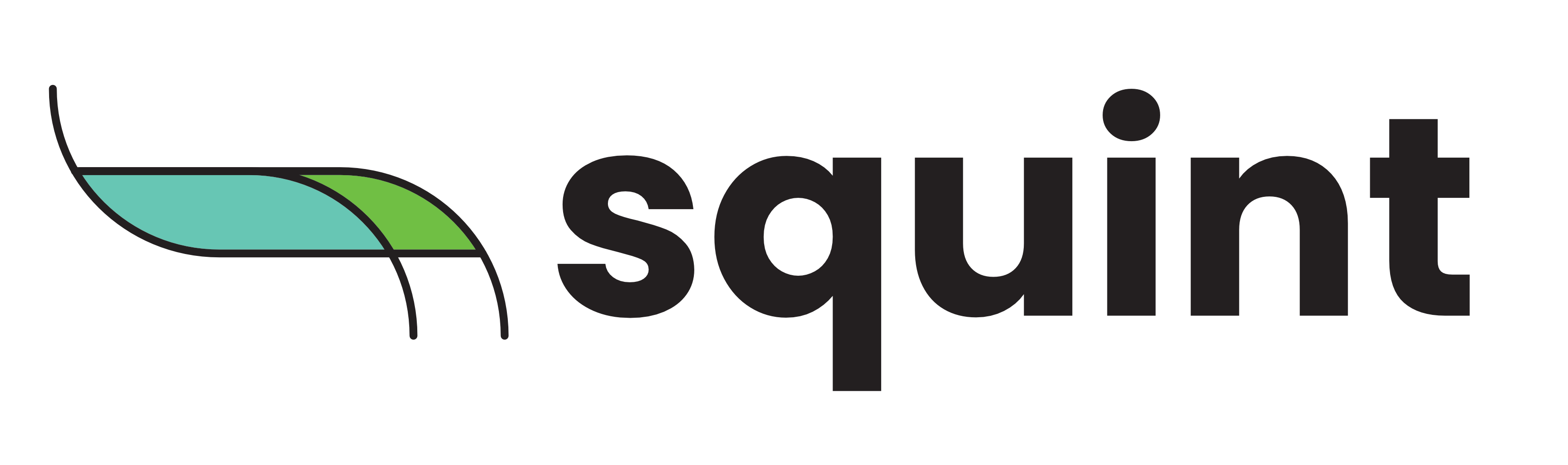 squint logo
